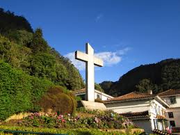 Grupo 4: Cultura Religiosa Colombiana (Mayo 2026 Francisco)