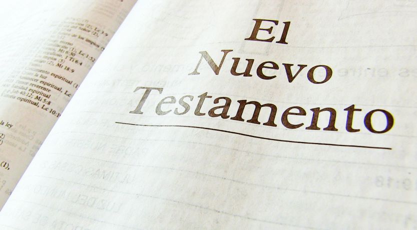 Grupo 4: Nuevo Testamento I (Septiembre 2026 Loida)